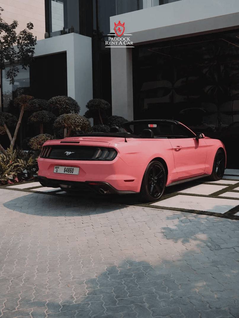 Ford Mustang (Rosa)