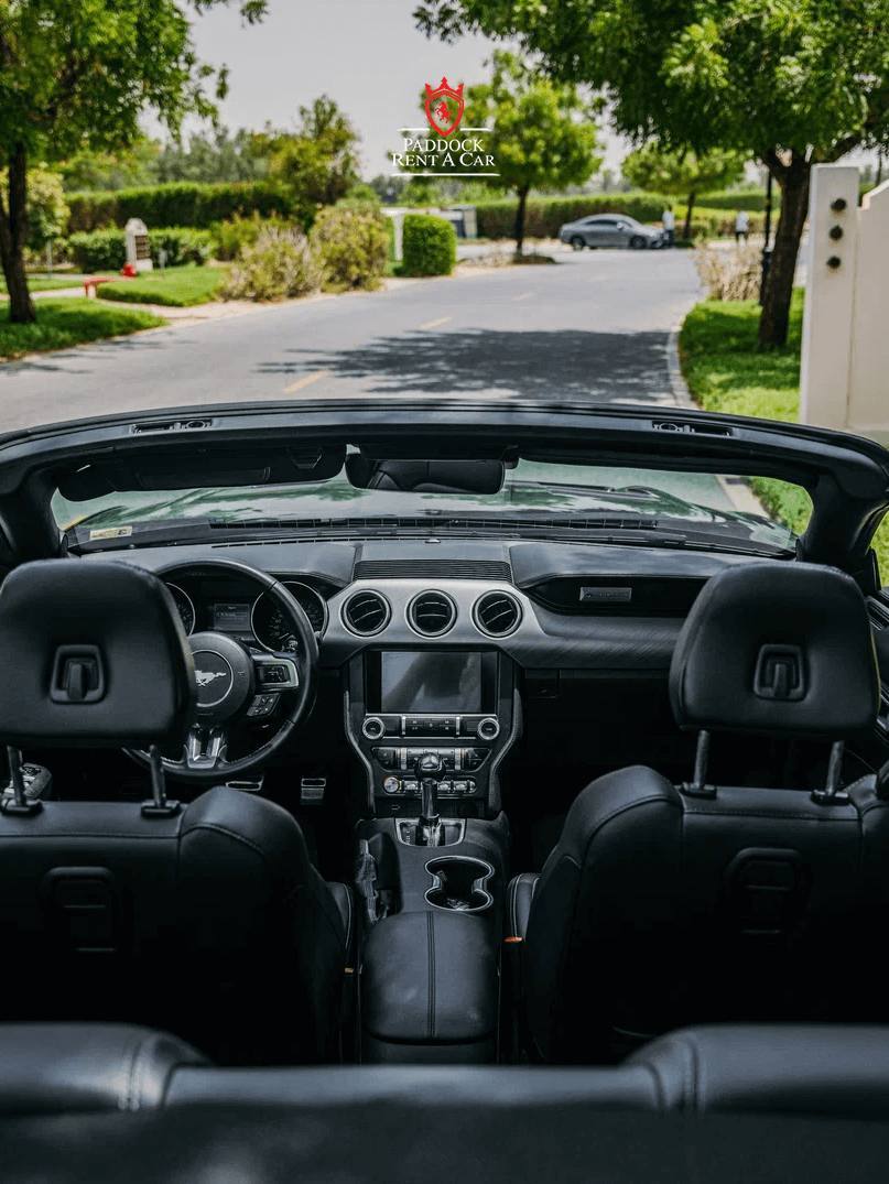 Ford Mustang (Schwarz)