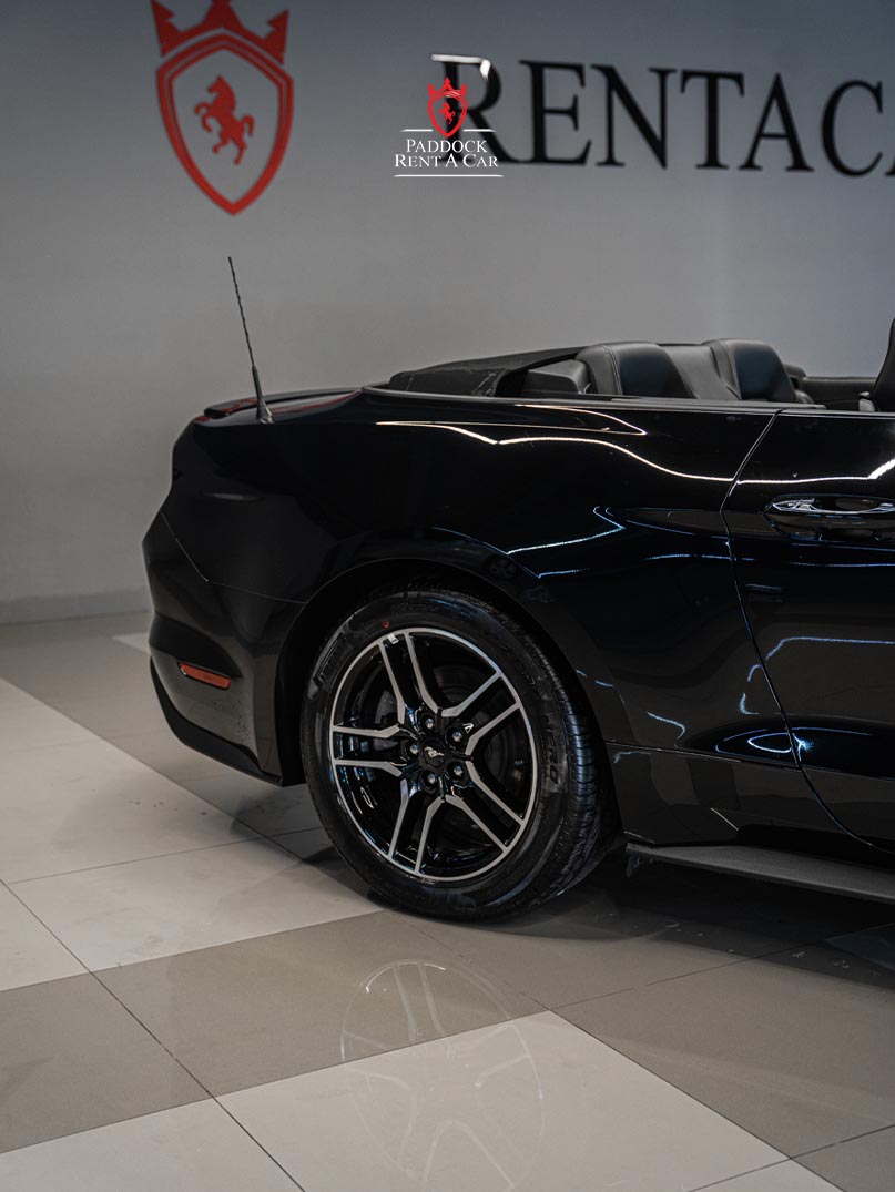 Ford Mustang (Black)