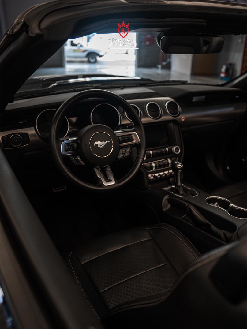 Ford Mustang (Black)
