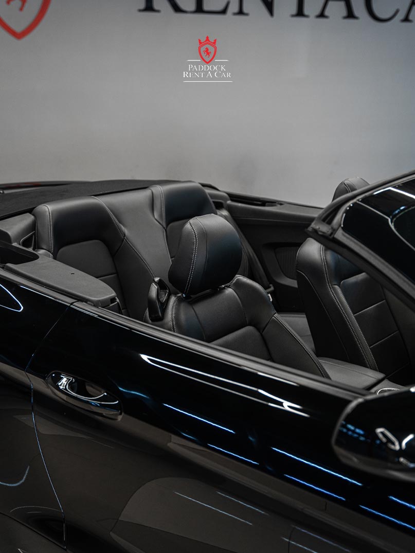 Ford Mustang (Black)