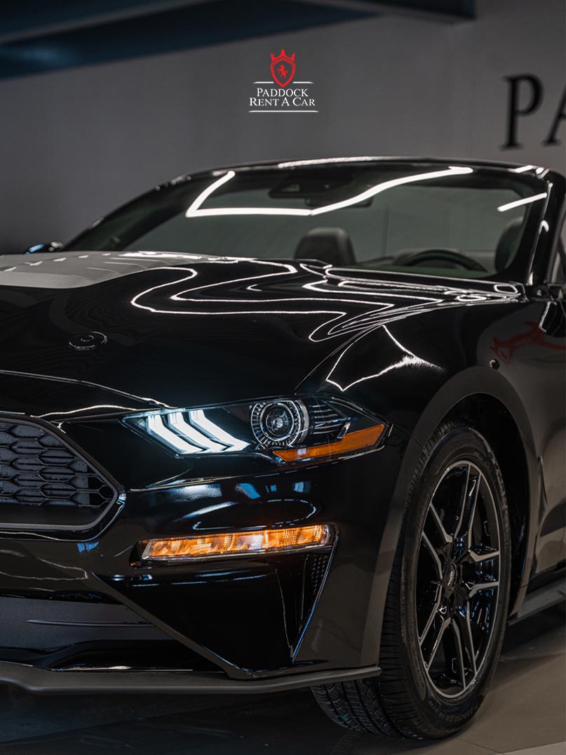 Ford Mustang (Black)