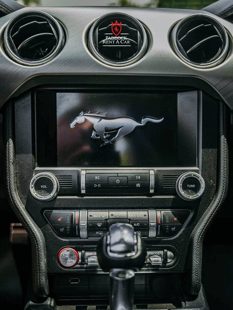 Ford Mustang (Schwarz)
