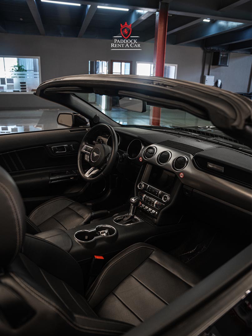 Ford Mustang (Black)