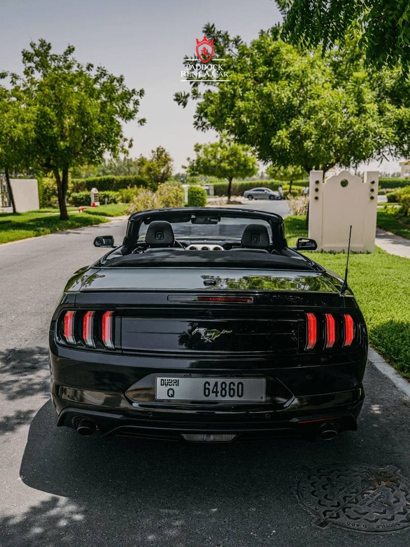Ford Mustang (Schwarz)