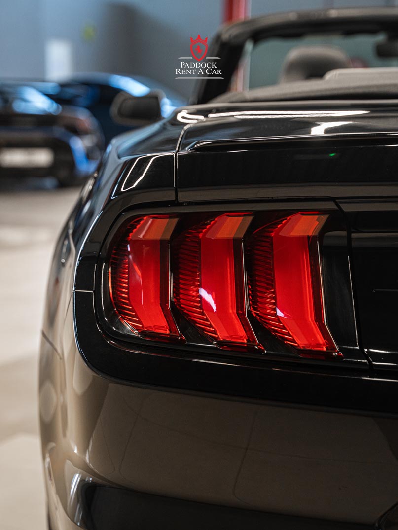 Ford Mustang (Black)