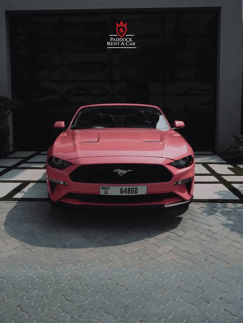 Ford Mustang (Rosa)