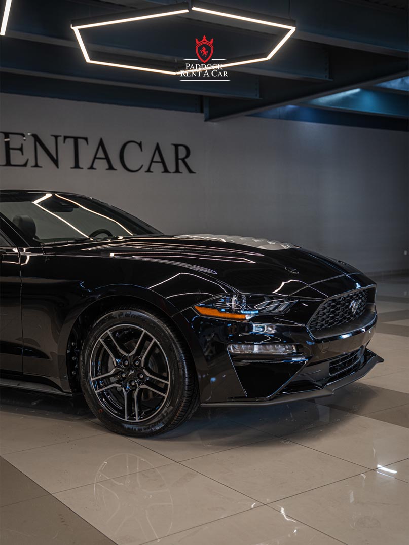 Ford Mustang (Black)