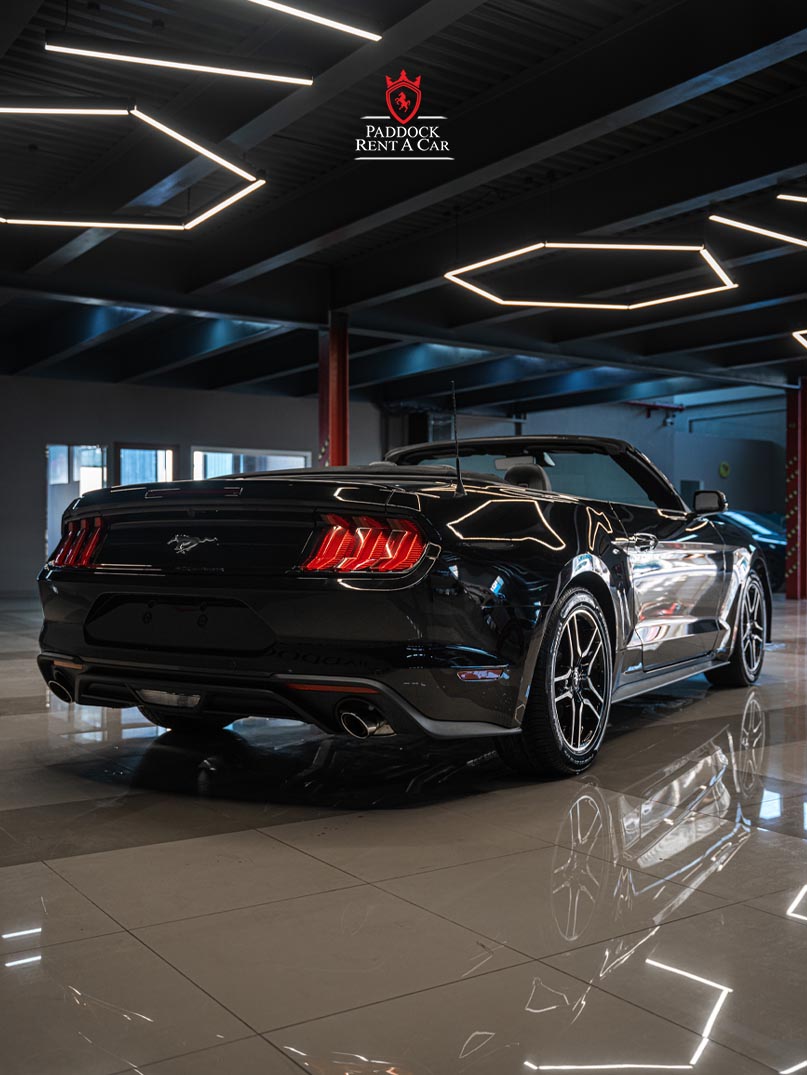 Ford Mustang (Black)