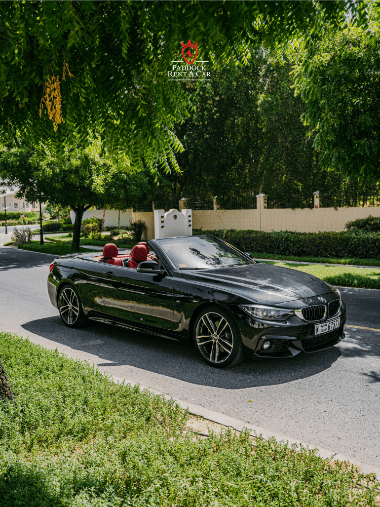 BMW 430i Convertible (Black)