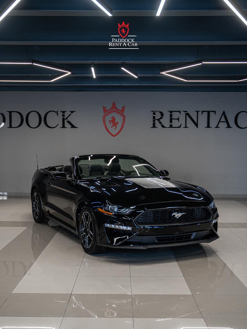 Ford Mustang (Black)