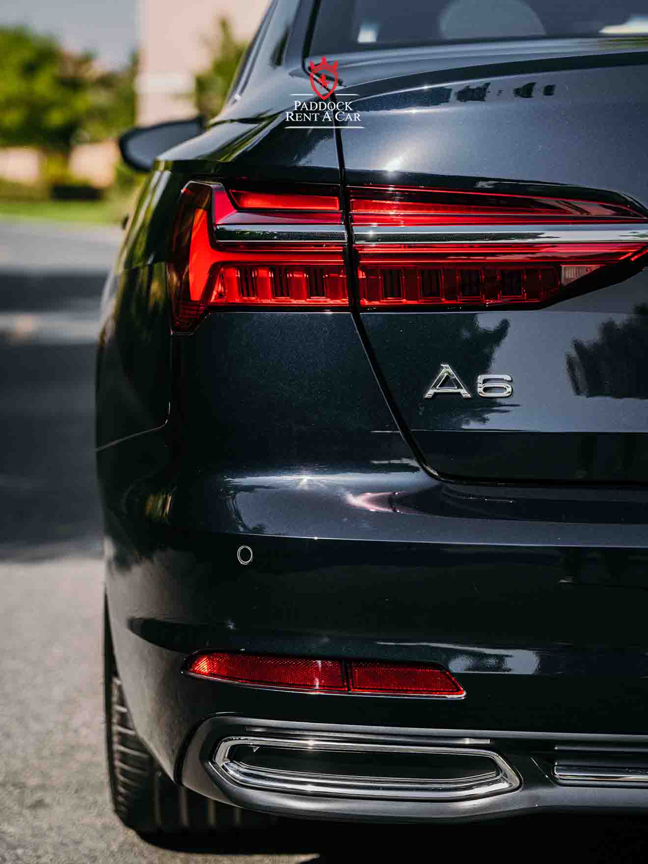 Audi A6 For Rent in Dubai Paddock Rent A Car Luxury