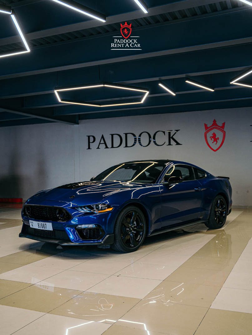 Ford Mustang Shelby for Rent in Dubai