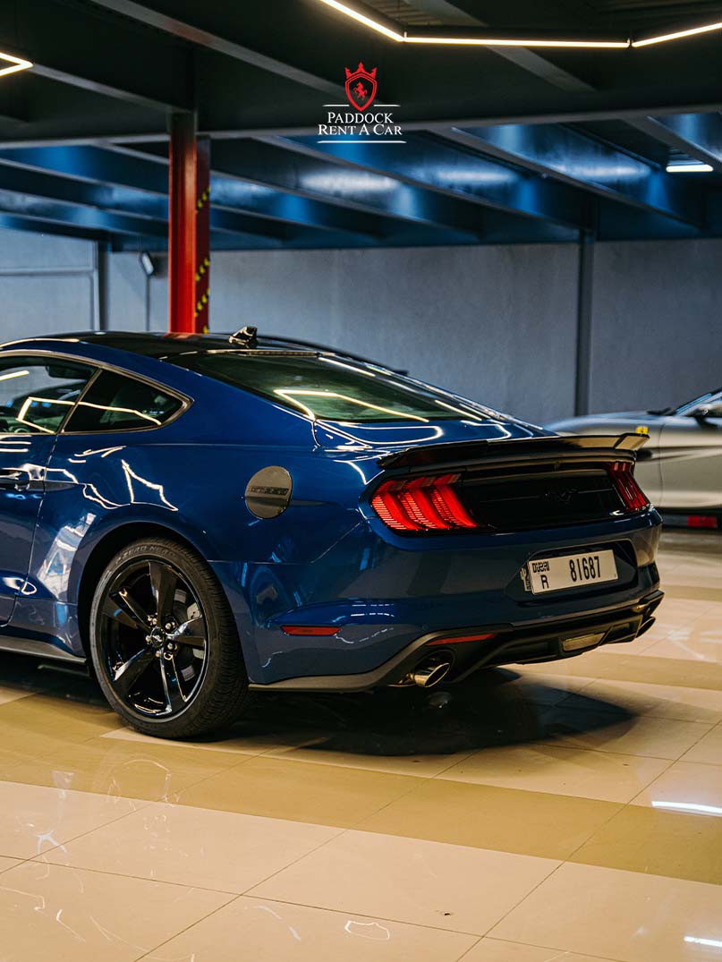 Ford Mustang Shelby for Rent in Dubai