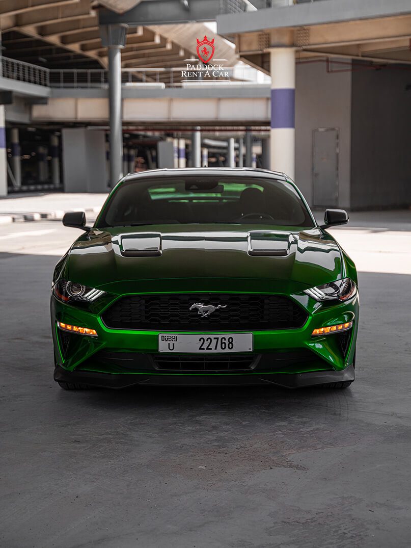 Ford Mustang (Grün)
