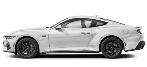 paddockrentacar