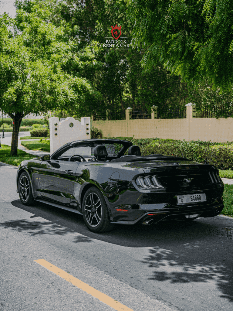 Ford Mustang (Black)