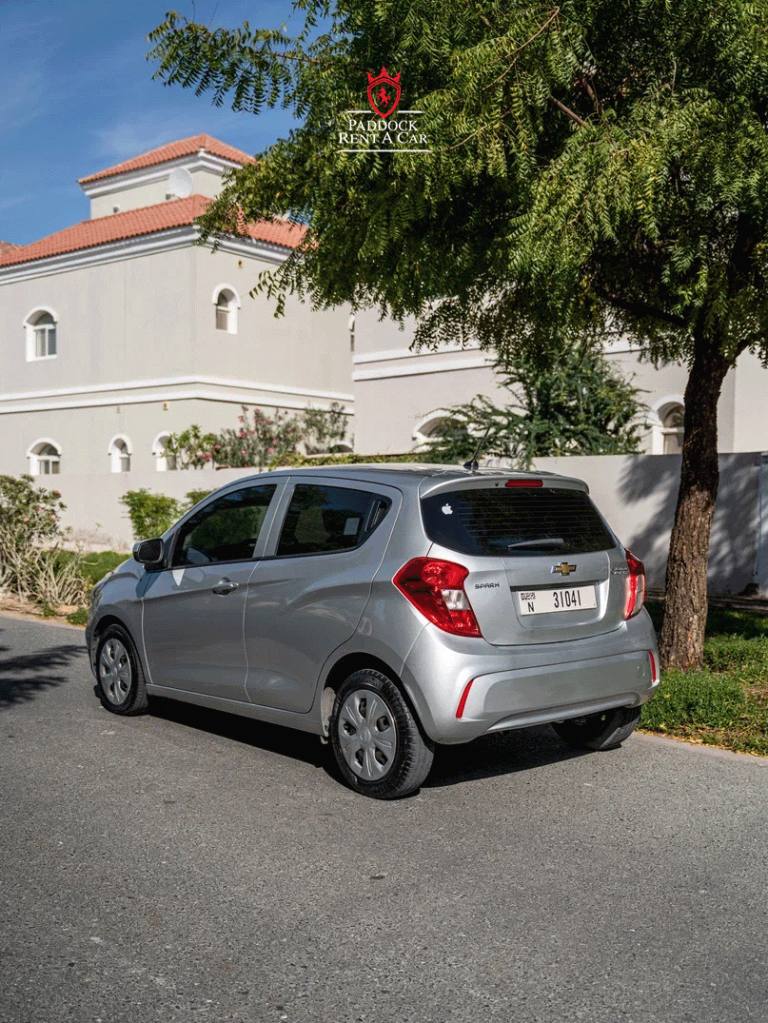 Chevrolet spark (Silver)