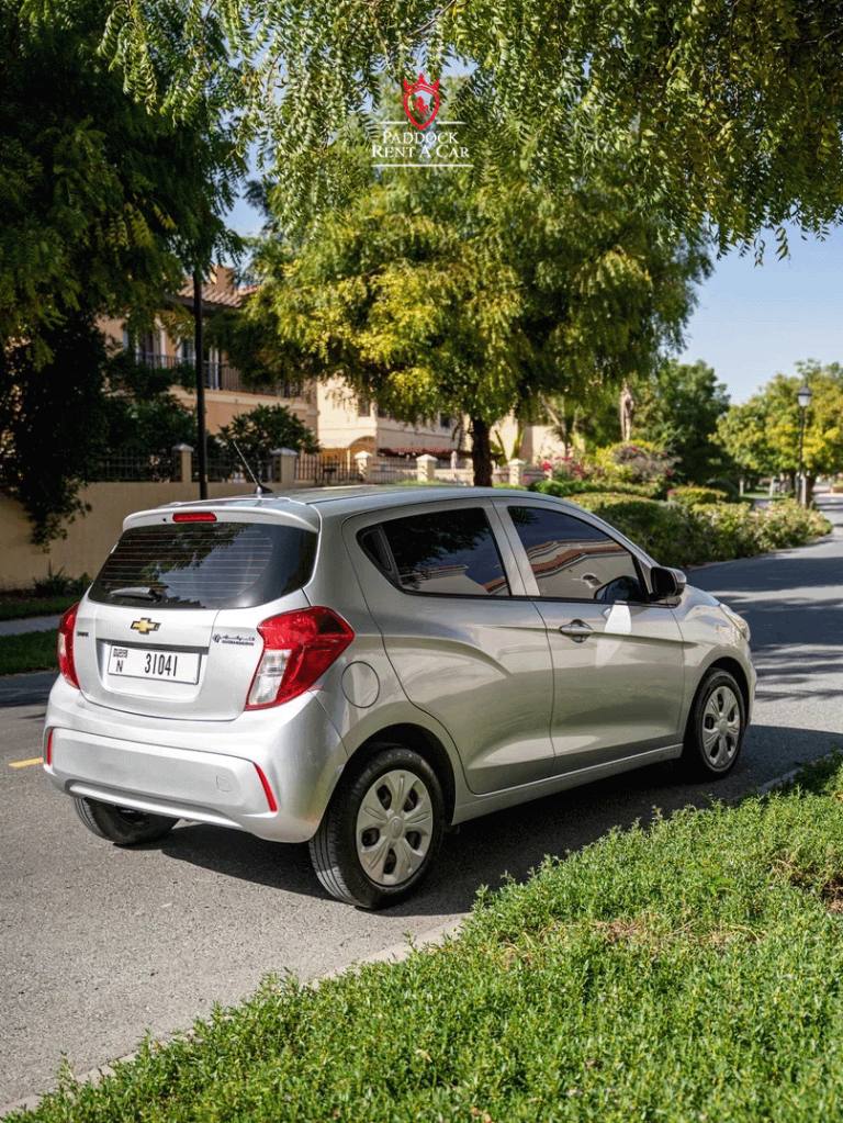 Chevrolet spark (Silver)