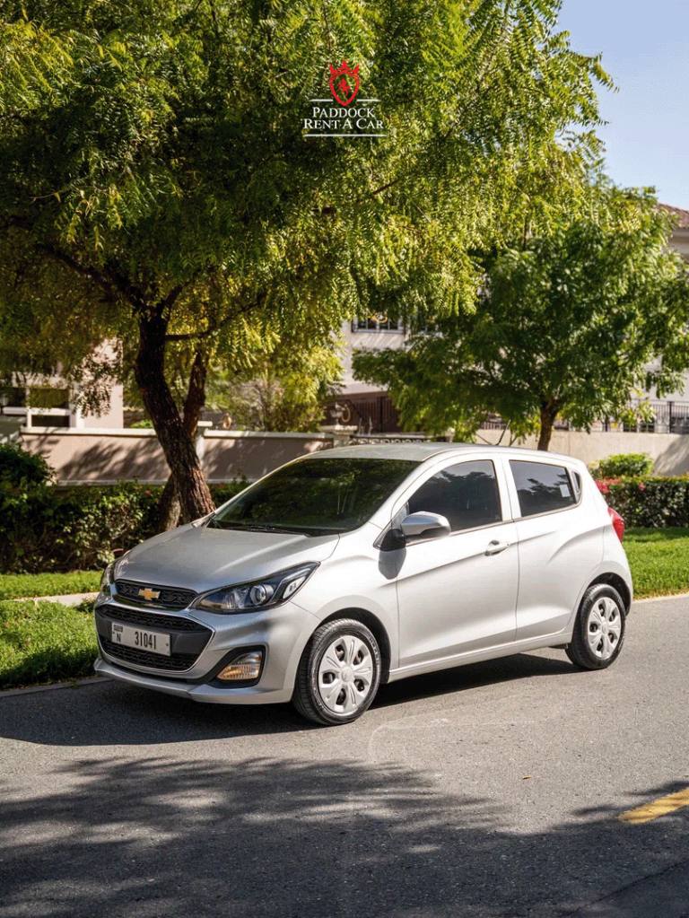 Chevrolet spark (Silver)